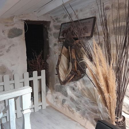 הוילה לאגורס Le Patio Aux Hirondelles מראה חיצוני תמונה