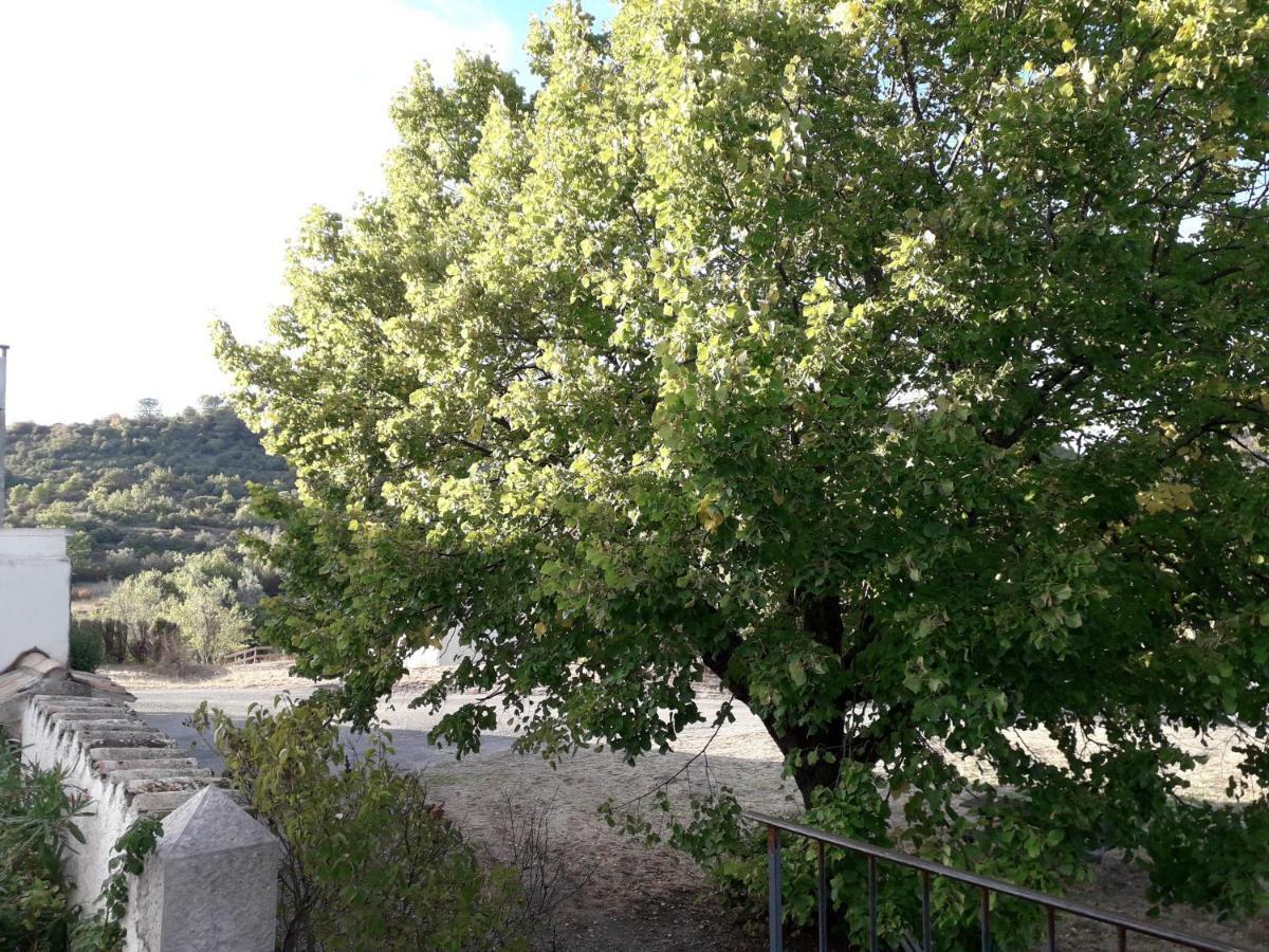 הוילה לאגורס Le Patio Aux Hirondelles מראה חיצוני תמונה